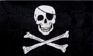 Pirate 3x5 Flag