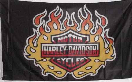 Harley Flame 3x5 Flag