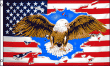 Eagle Burst 3x5 Flag