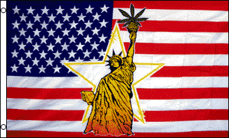 Statue of Liberty 3x5 Flag